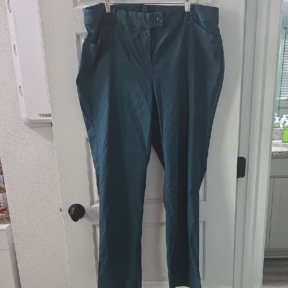 Lane Bryant Men's Dark Teal Chinos
